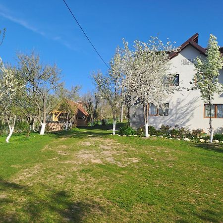 Отель Casa Cristalul Muntilor Пояна-Мэрулуй Экстерьер фото