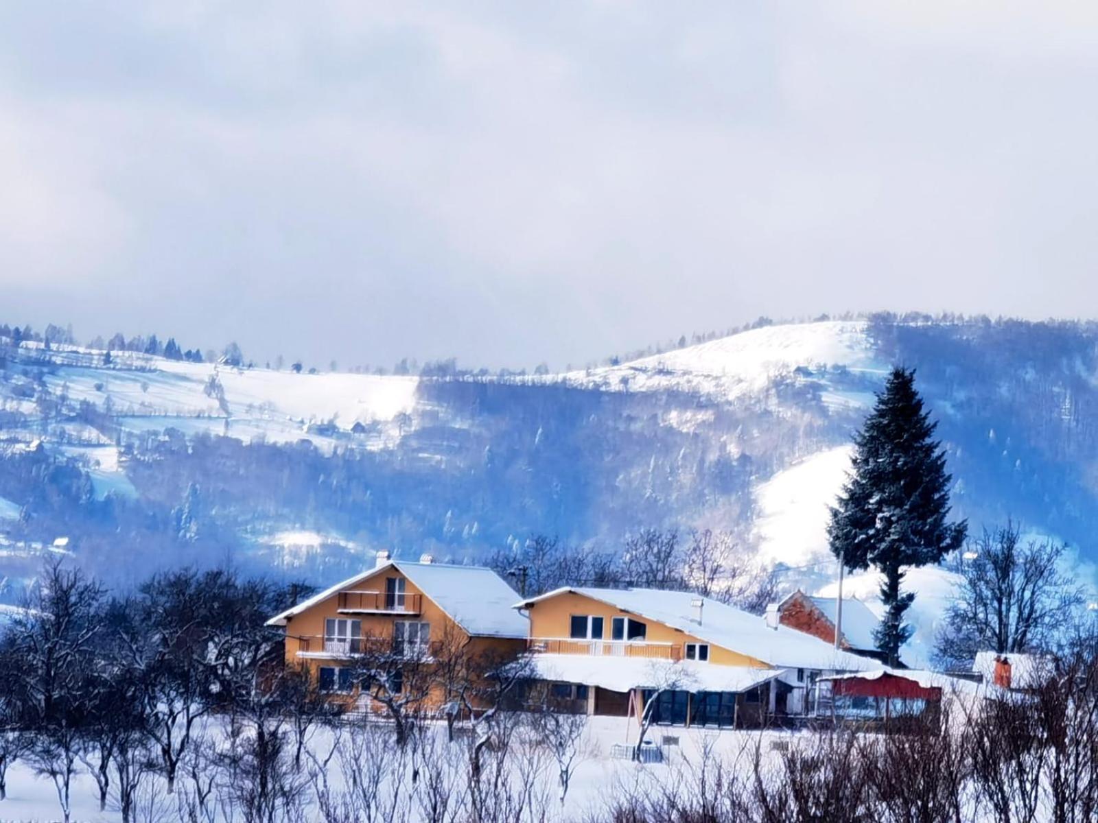 Отель Casa Cristalul Muntilor Пояна-Мэрулуй Экстерьер фото