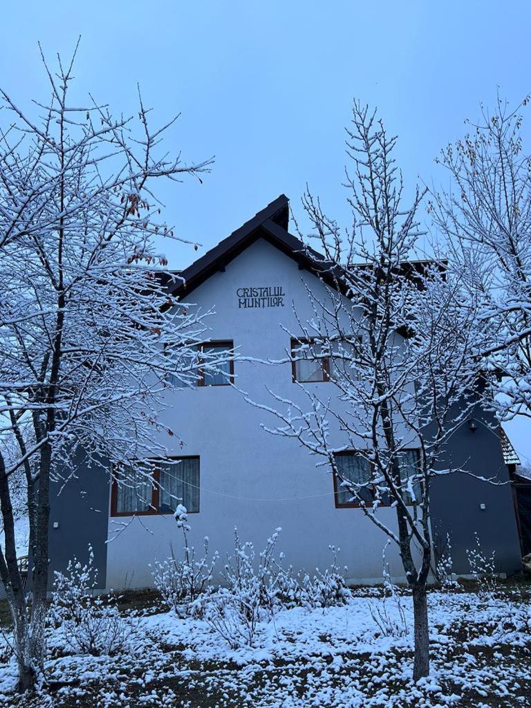 Отель Casa Cristalul Muntilor Пояна-Мэрулуй Экстерьер фото
