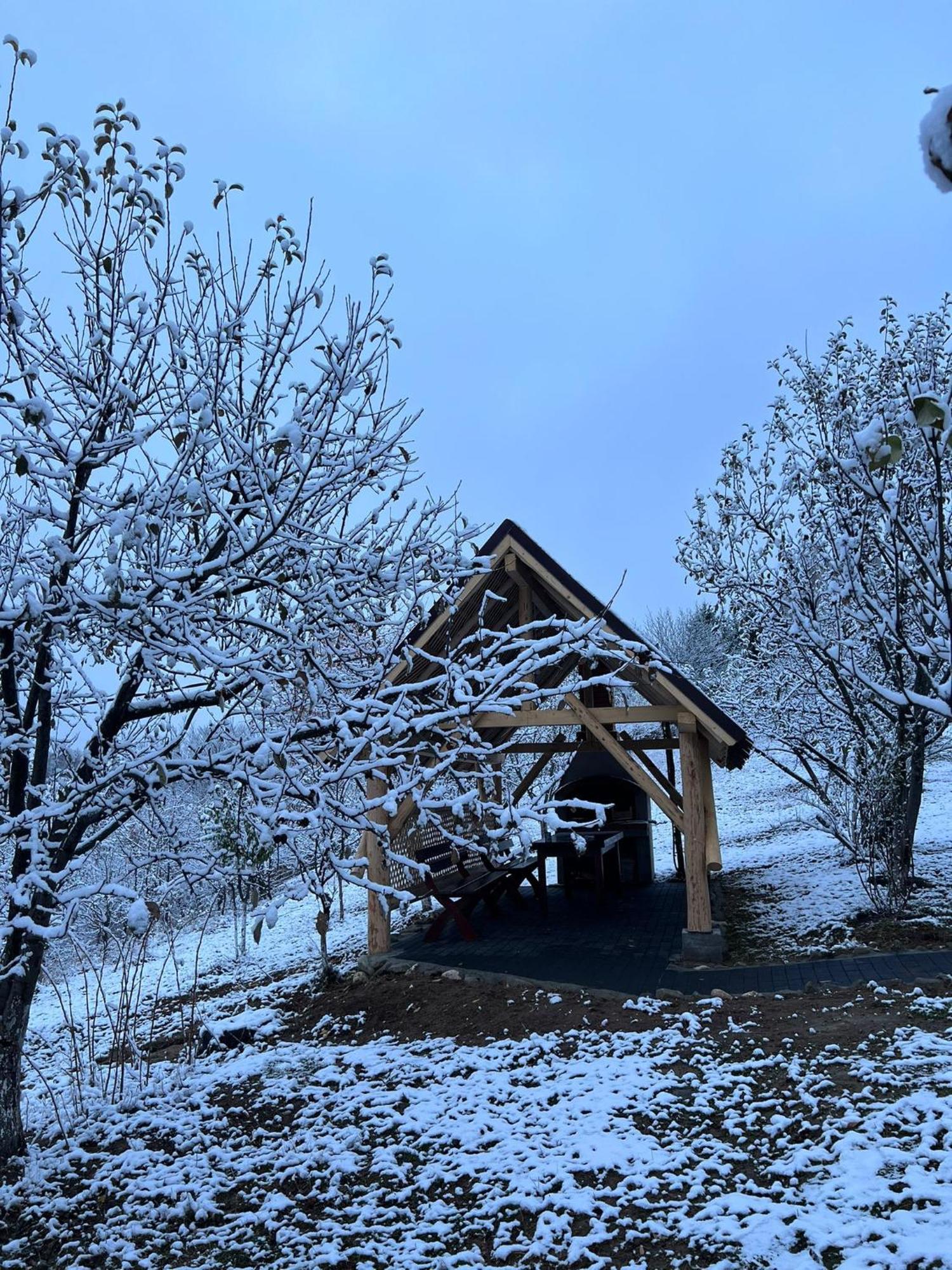 Отель Casa Cristalul Muntilor Пояна-Мэрулуй Экстерьер фото