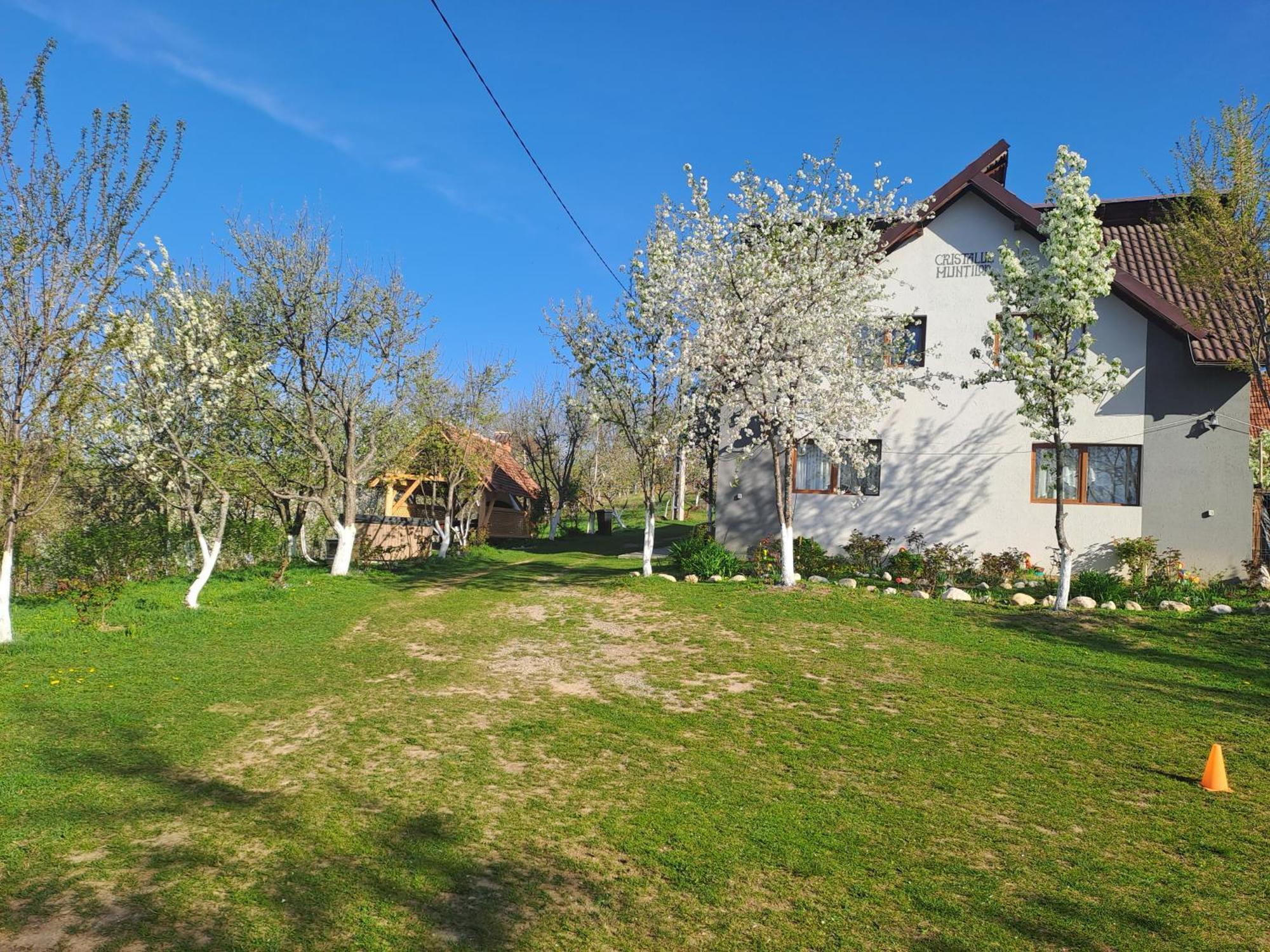 Отель Casa Cristalul Muntilor Пояна-Мэрулуй Экстерьер фото
